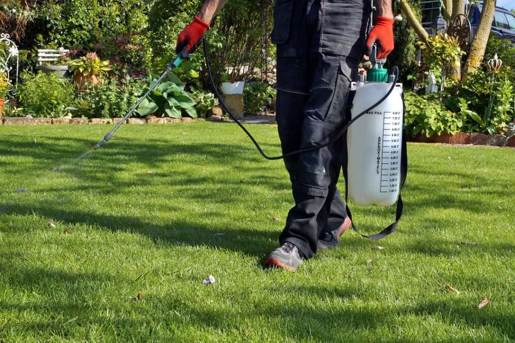 worker performing professional lawn care