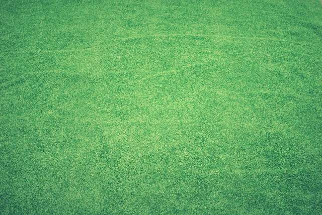 Is turf better than grass? - Close up image of artificial turf